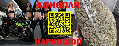 гидра Аша