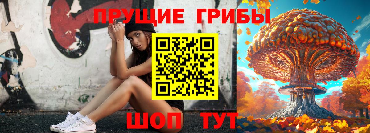 Галлюциногенные грибы Psilocybe Ахтубинск