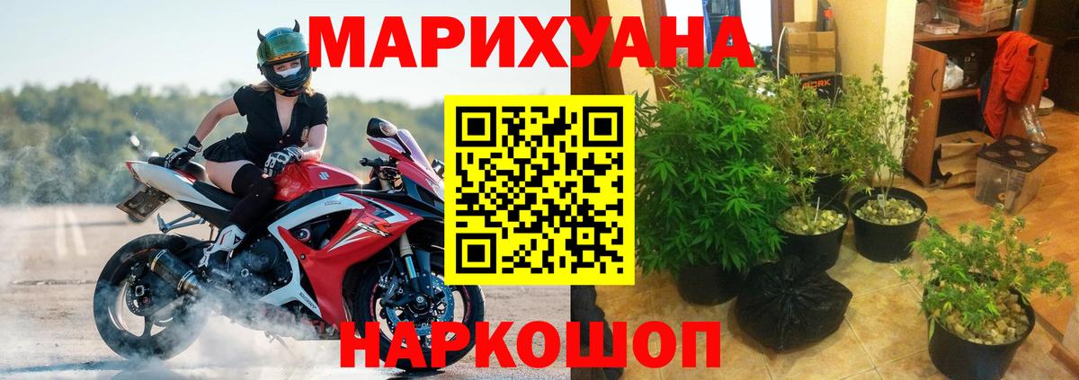 Марихуана семена Ахтубинск